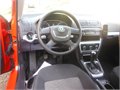 CERVENA FACE FABIA 016