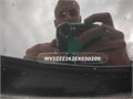 DSCF0157