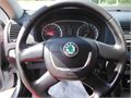 DSCF0784