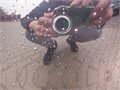 DSCF2154