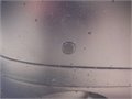 DSCF5953