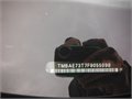 DSCF7561