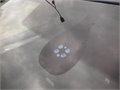 DSCF8455