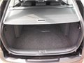 DSG II cerna 014