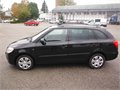 Fabia cerna 003