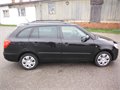 Fabia cerna 007