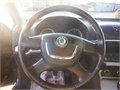 Fabia cerna 025