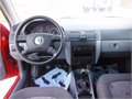 fabia cervena 015