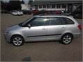 Fabia stribro 1,9 003