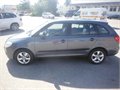 Fabia stribro 1,9 003