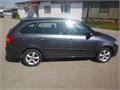 Fabia stribro 1,9 007