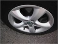 Fabia stribro 1,9 022