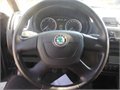 Fabia stribro 1,9 023