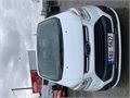 IMG_6360