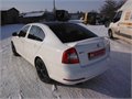 RS bila 007