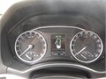 RWE francek 030