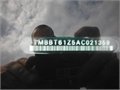 Stribr Fac Tazny 013