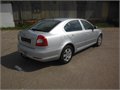 Stribr Fac Tazny 036