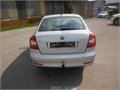Stribr Fac Tazny 037