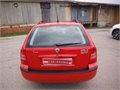 Turka cervena 008