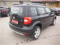 Yeti cerna fann 009