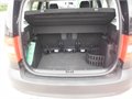 Yeti cerna fann 013