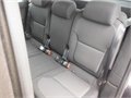 Yeti cerna fann 014
