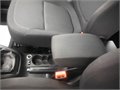 Yeti cerna fann 019
