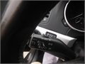 Yeti cerna fann 028