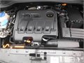 Yeti cerna fann 033